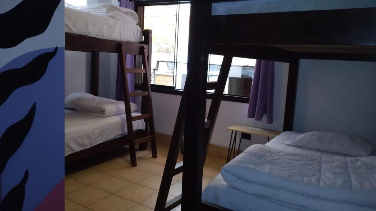 Supertramp Hostel Machupicchu Kültér fotó